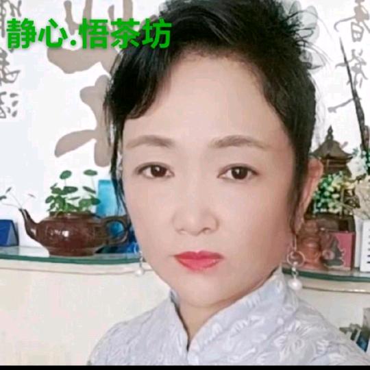 🍵静心悟茶坊