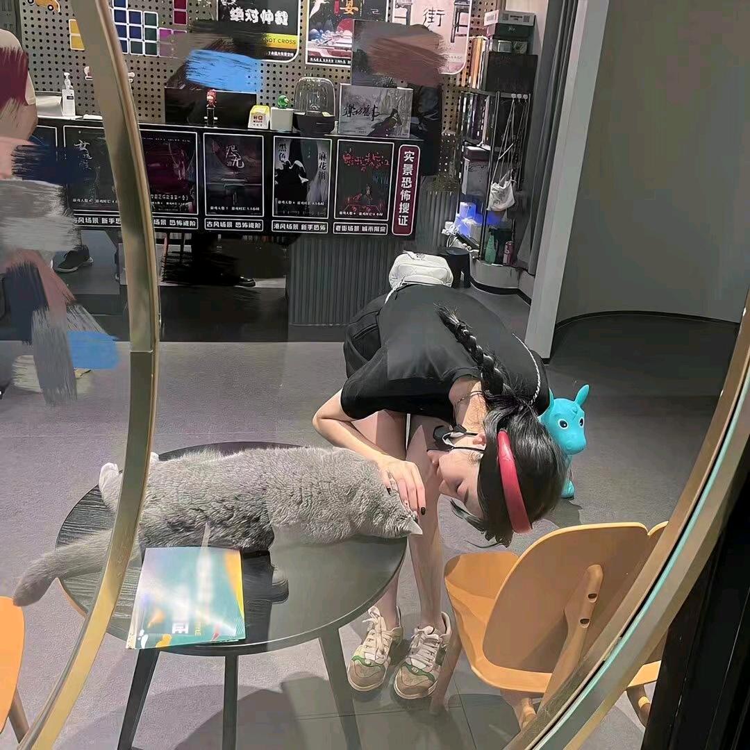 @晴晴🐑