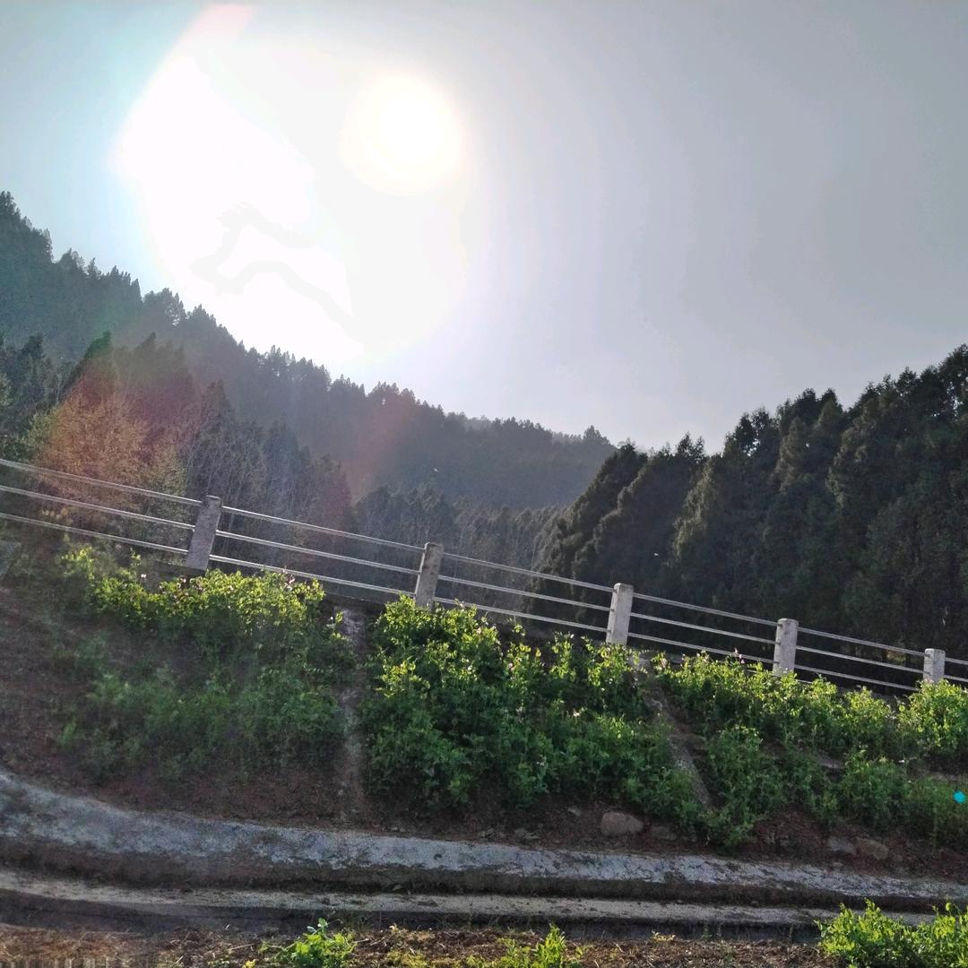 我得世界
