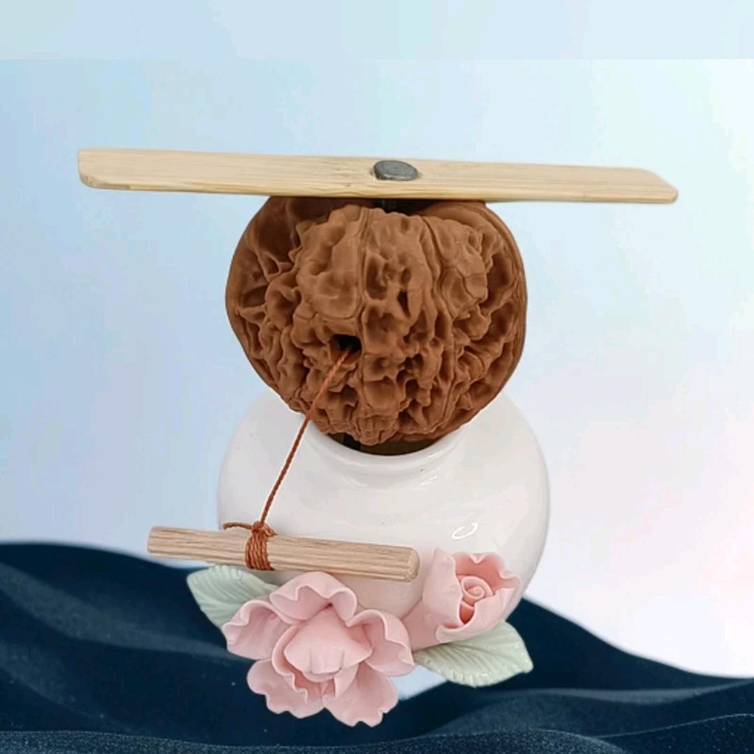 核桃车子