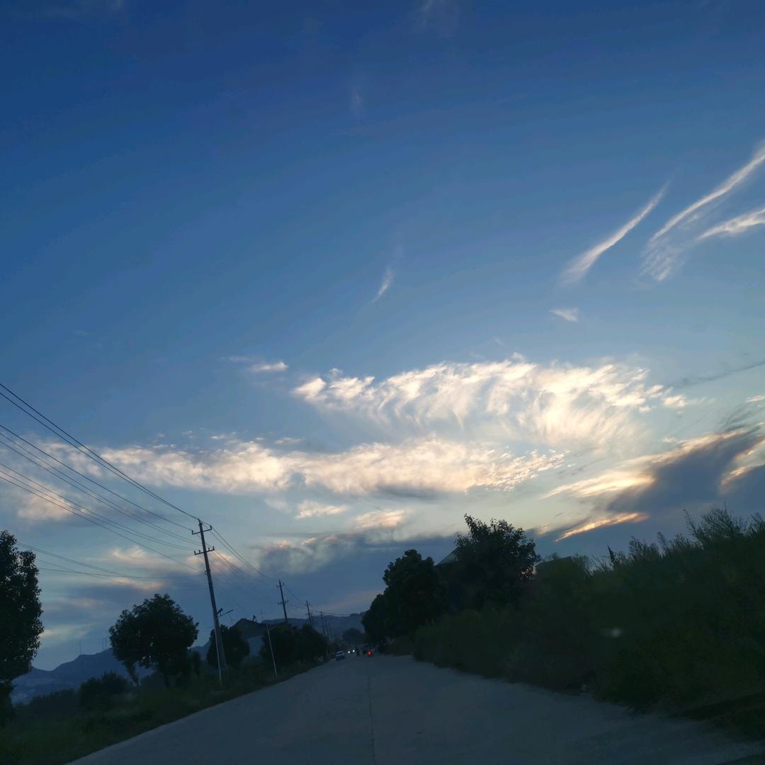 贝尔·斯坦森