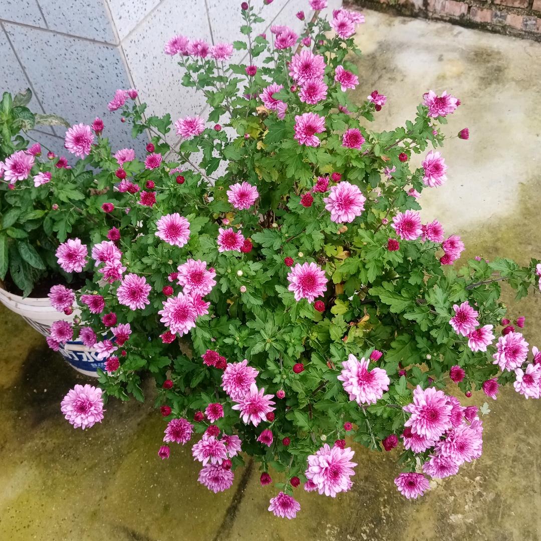 一生平安