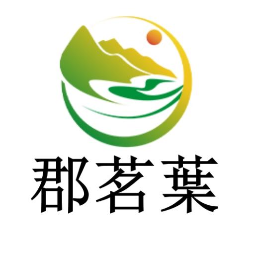 郡茗葉白茶