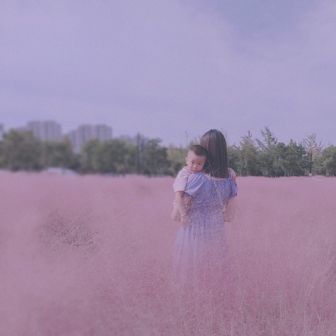 随风般若即若离