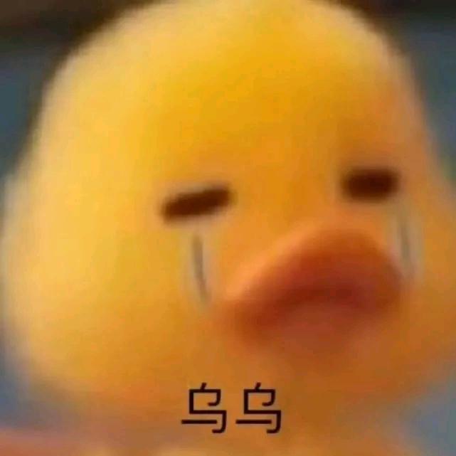 妮妮。（三角洲跑刀）