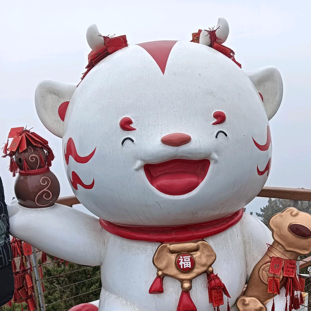 @🐅向👨‍👩‍👧‍👦阳🌞花