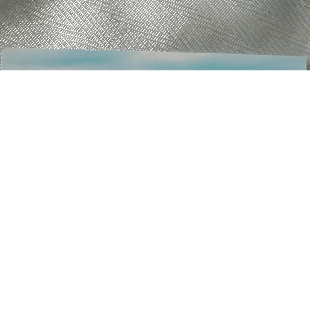 海阔天空鸟