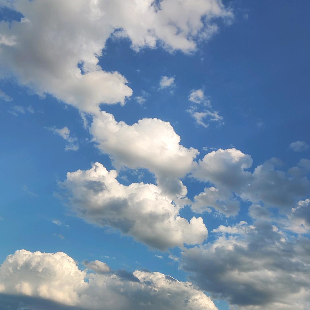 醉清风🐮静🍀