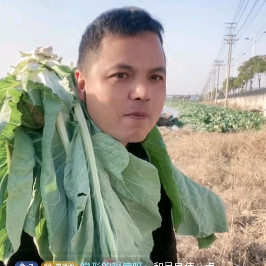 瑞安华哥华嫂