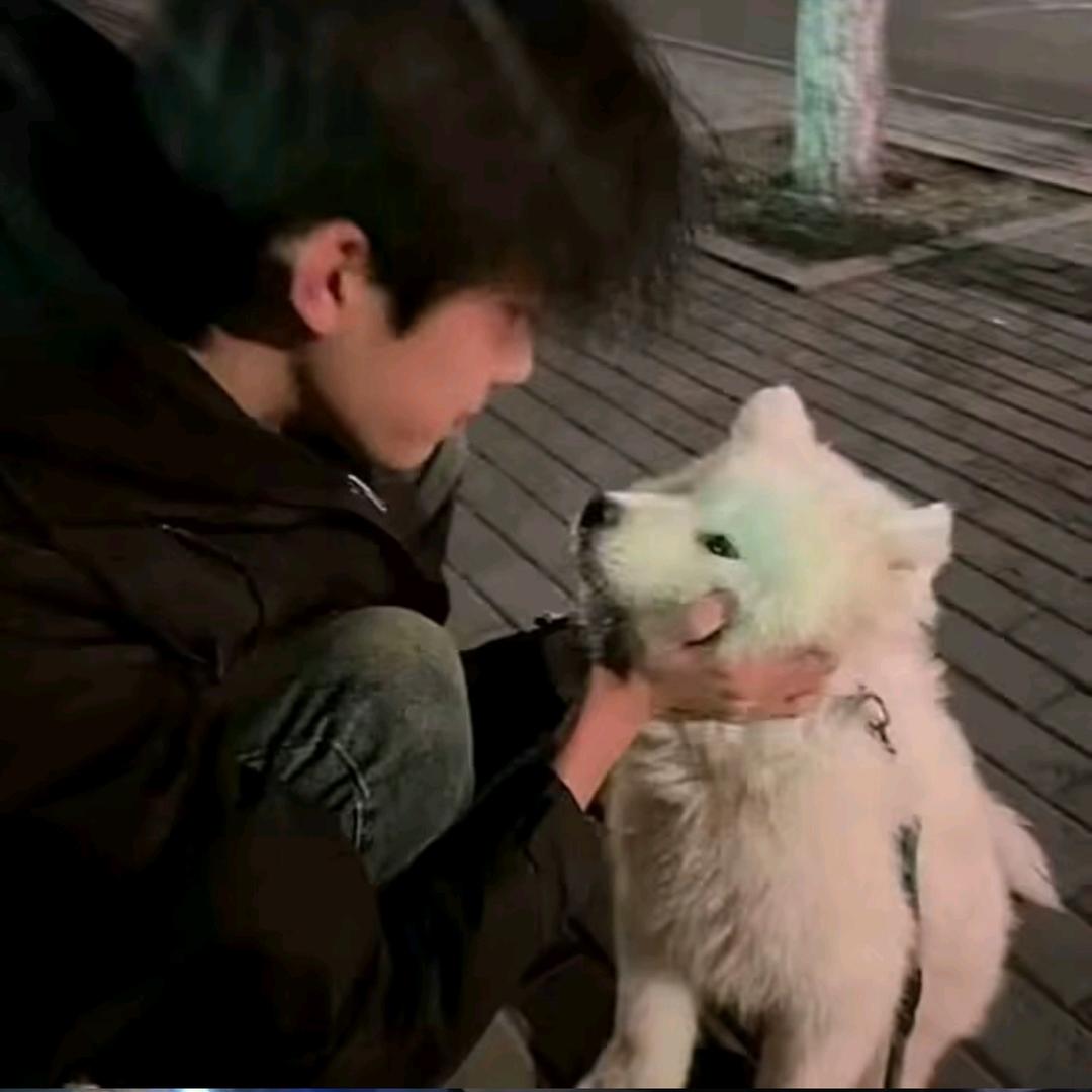 崽愿
