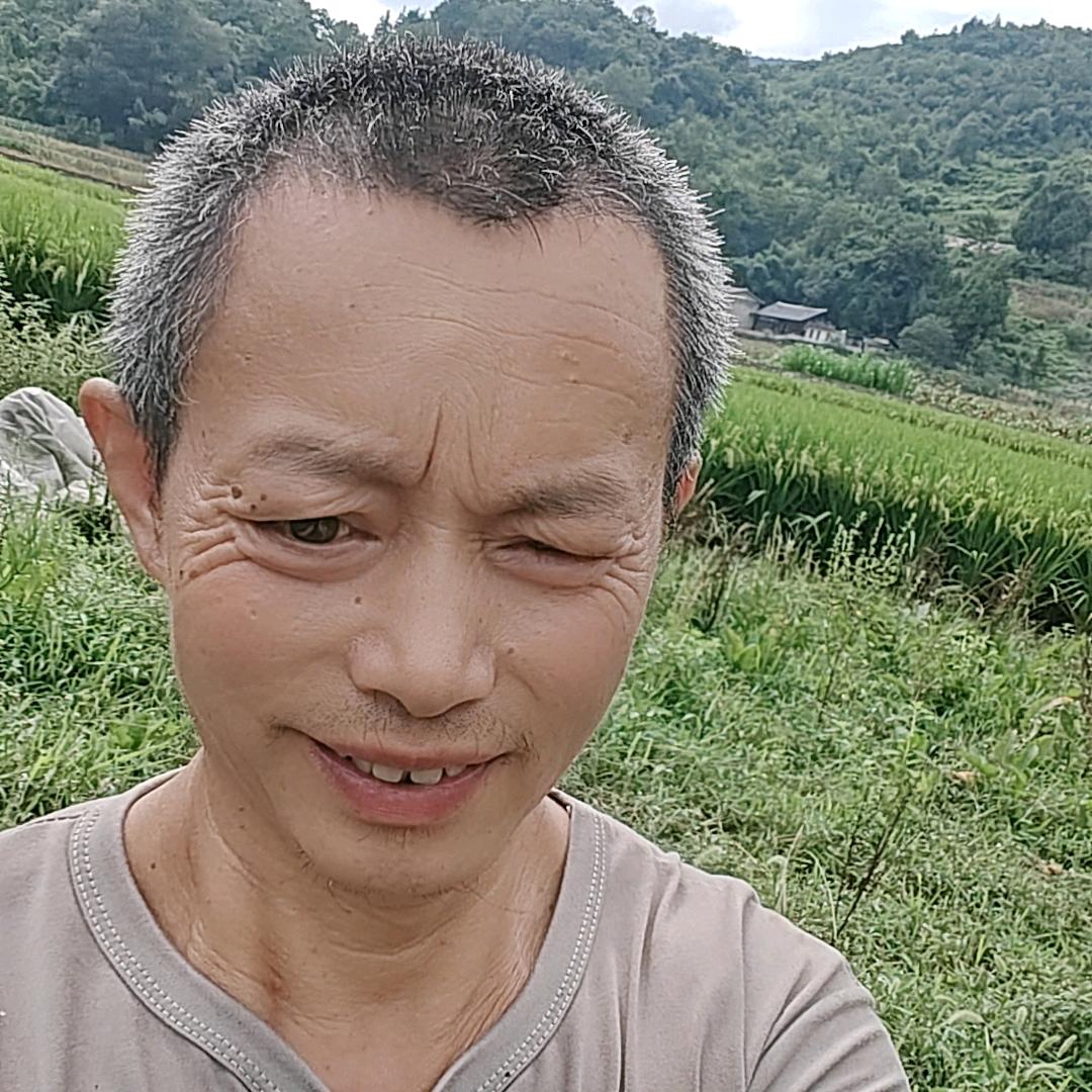 开心果