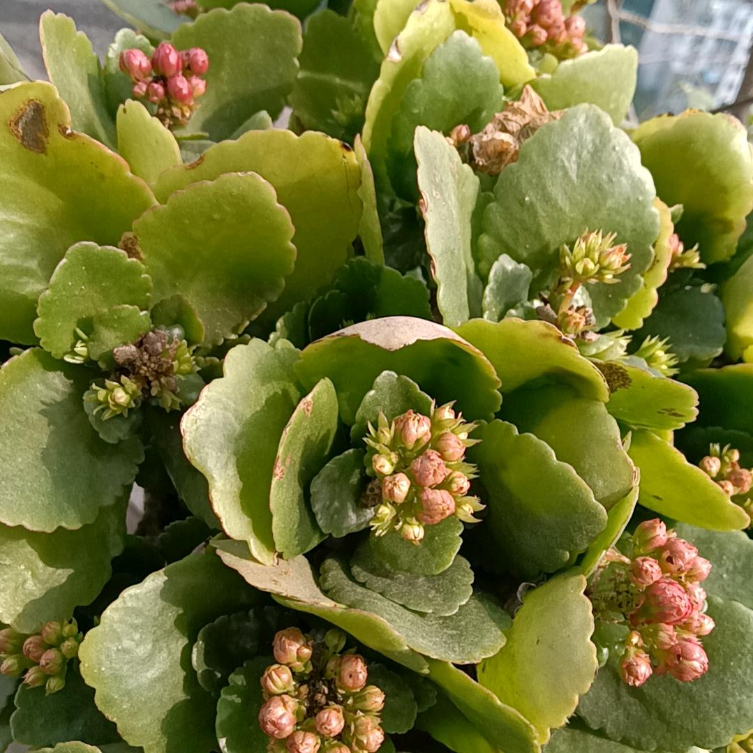 大千世界无奇不有