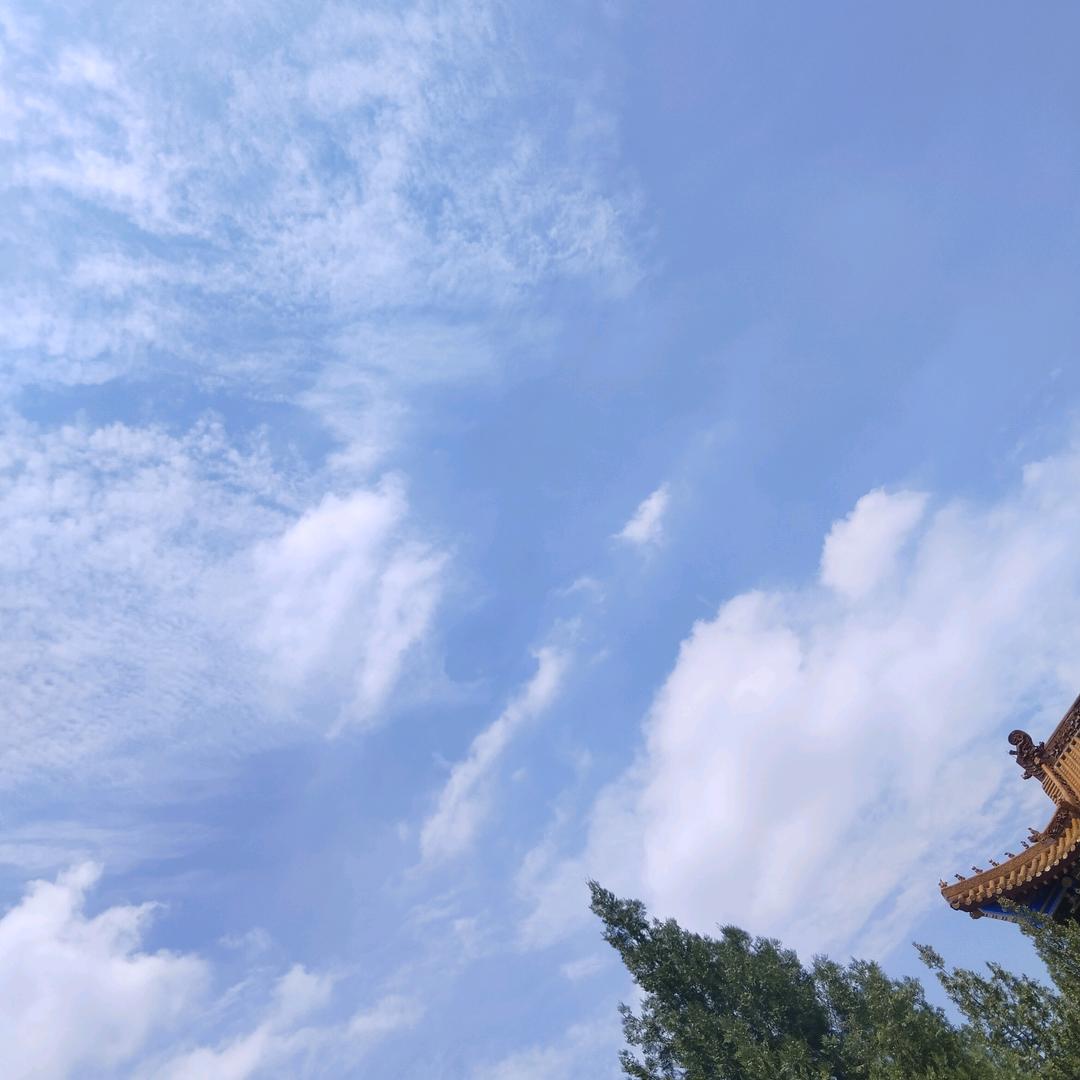 清禾