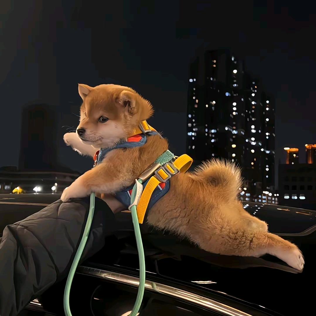 ૮₍ɵ̷﹏ɵ̷̥̥᷅₎ა