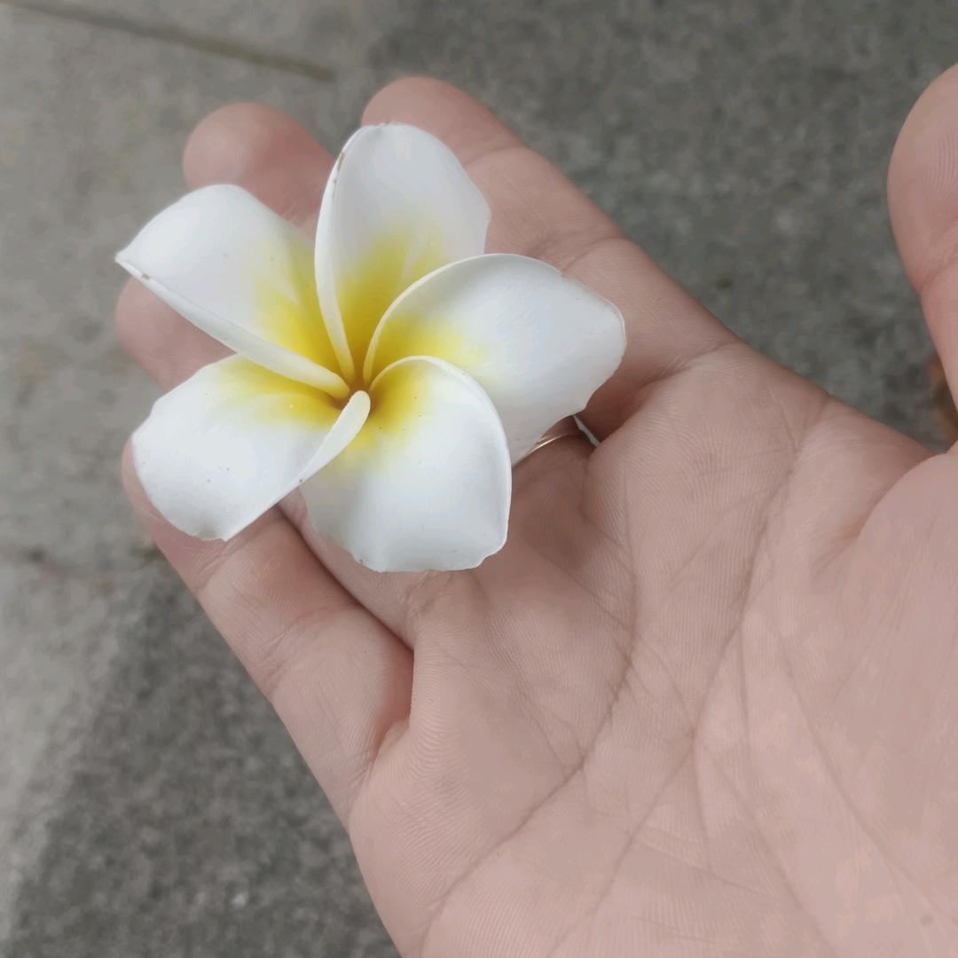 🐹¹⁹₉₆小萍