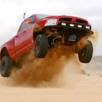 行走的五花肉One