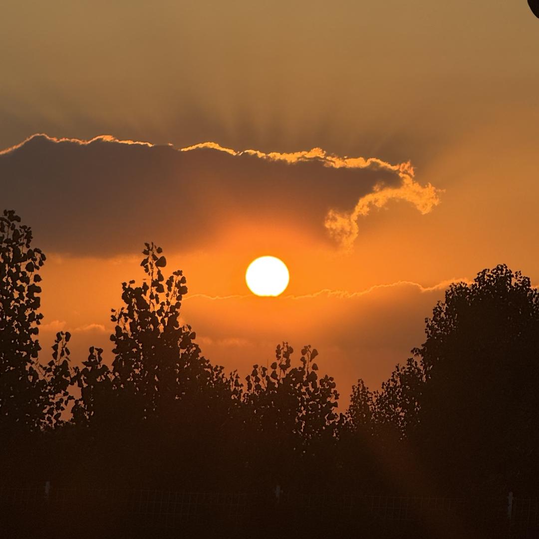 交给我你就把心放生吧