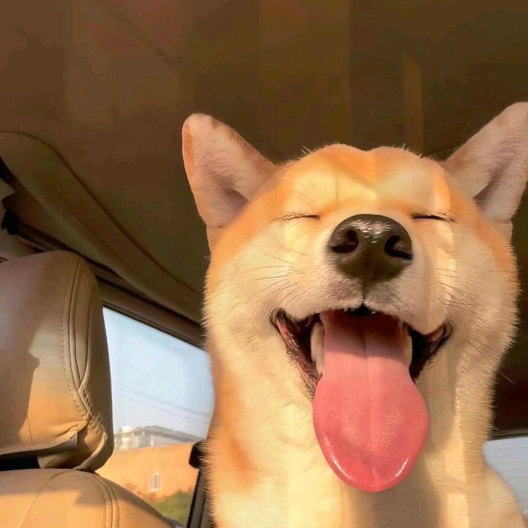 老黄瓜刷绿漆🤡