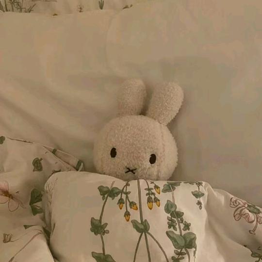 芮三岁♛