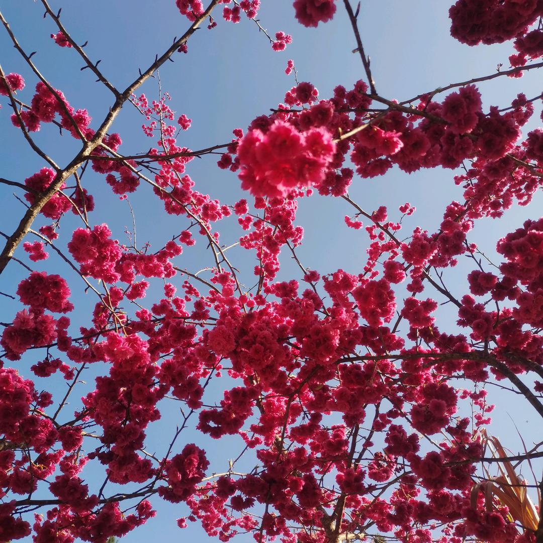 👍郑合我意🌹