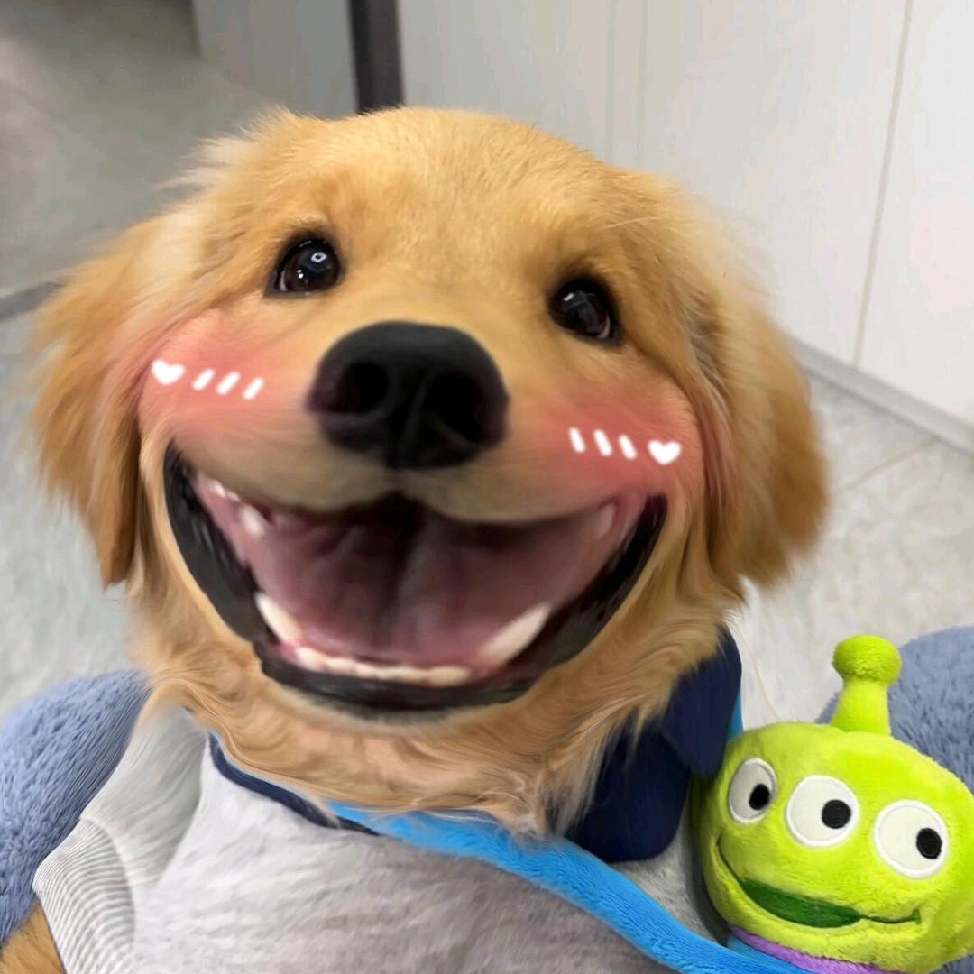 胖球✨