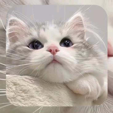 小梨涡ˇ