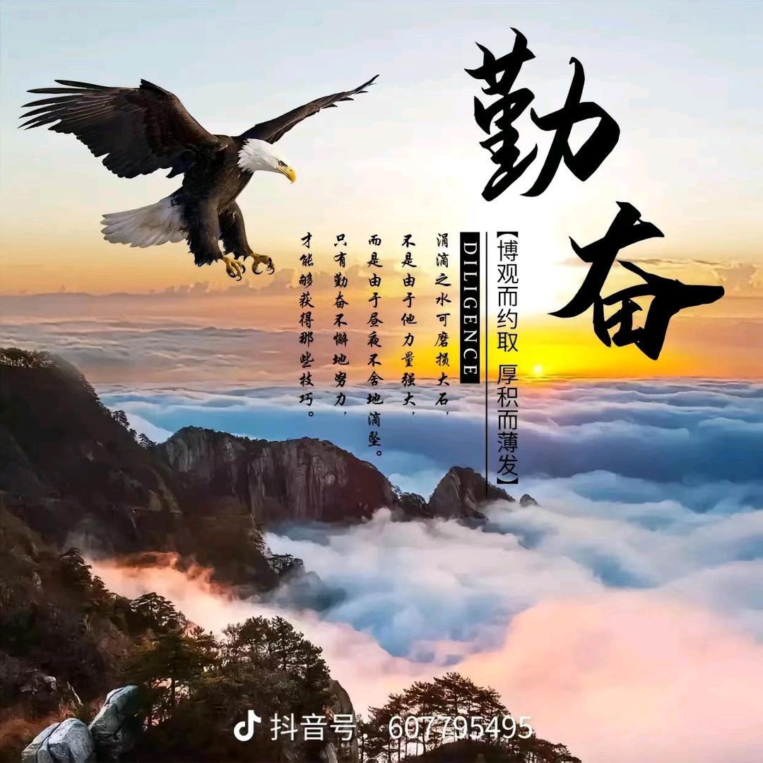 梦里花好物