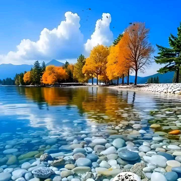 秋分•美食分享