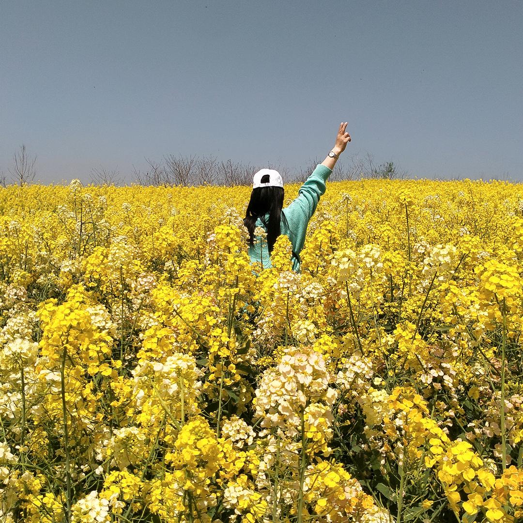姐可以惯着你也可以换了你