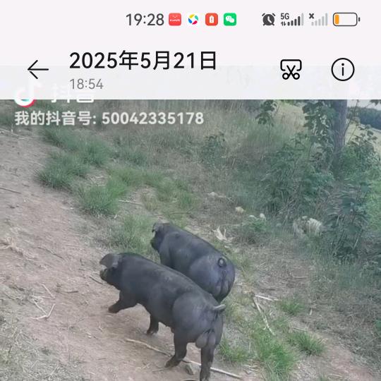 永寿阳阳