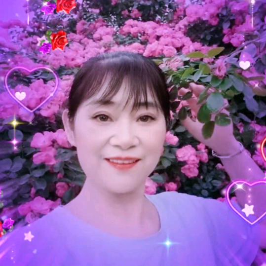 聊天直播开心姐