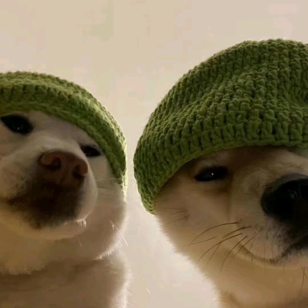 天不生我懒羊羊，觉道万古如长夜