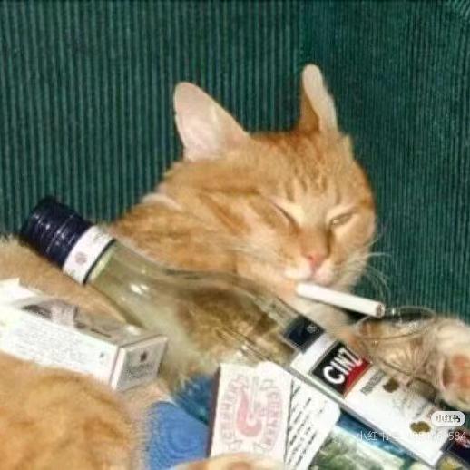 眷眷