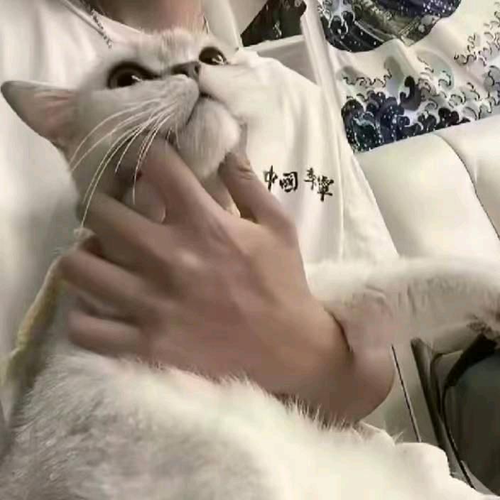 恙