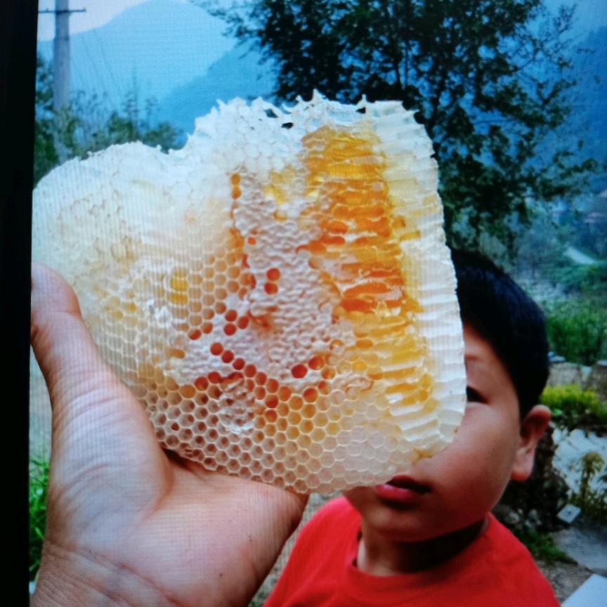 @心里有爱@眼中有光@