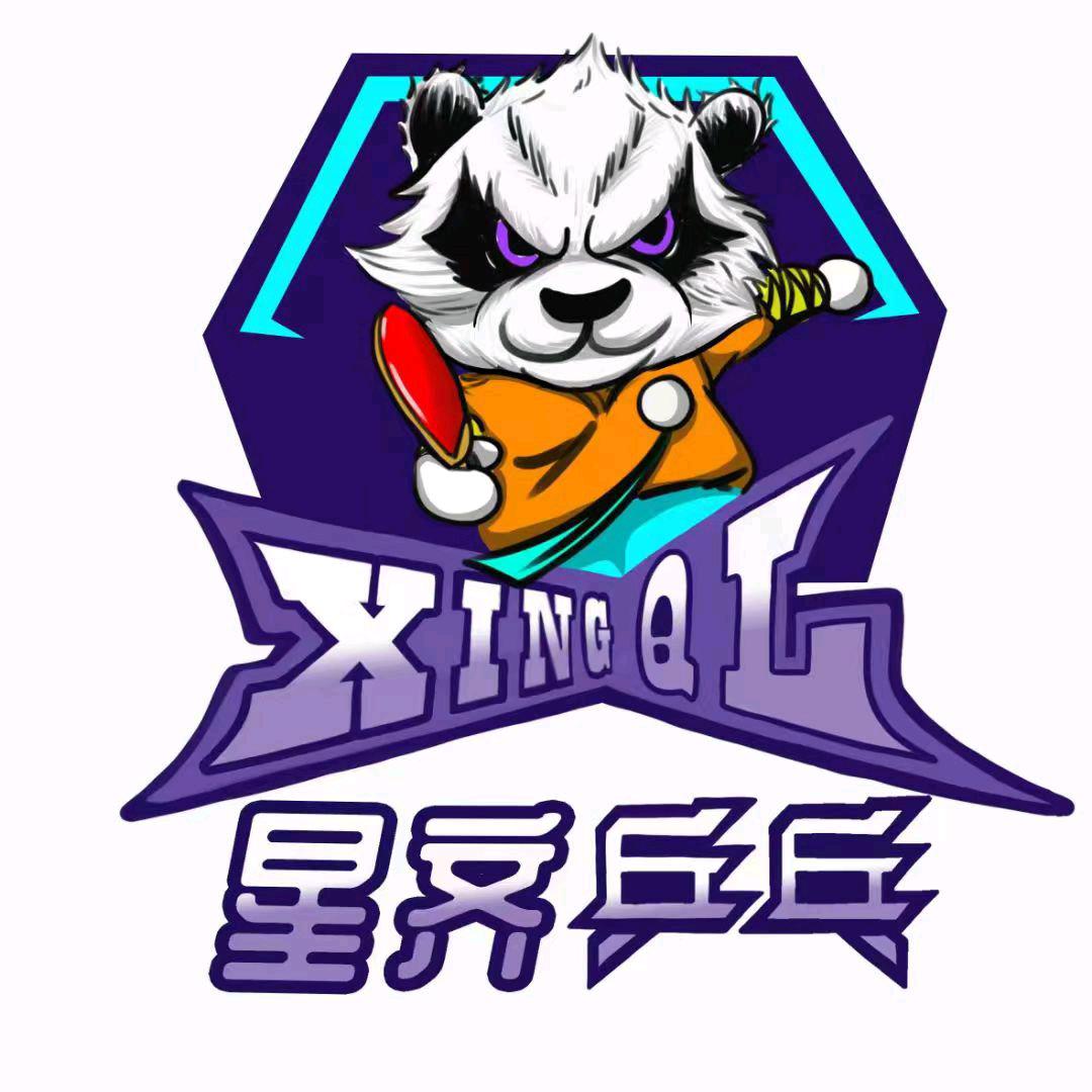 星齐乒乓球俱乐部