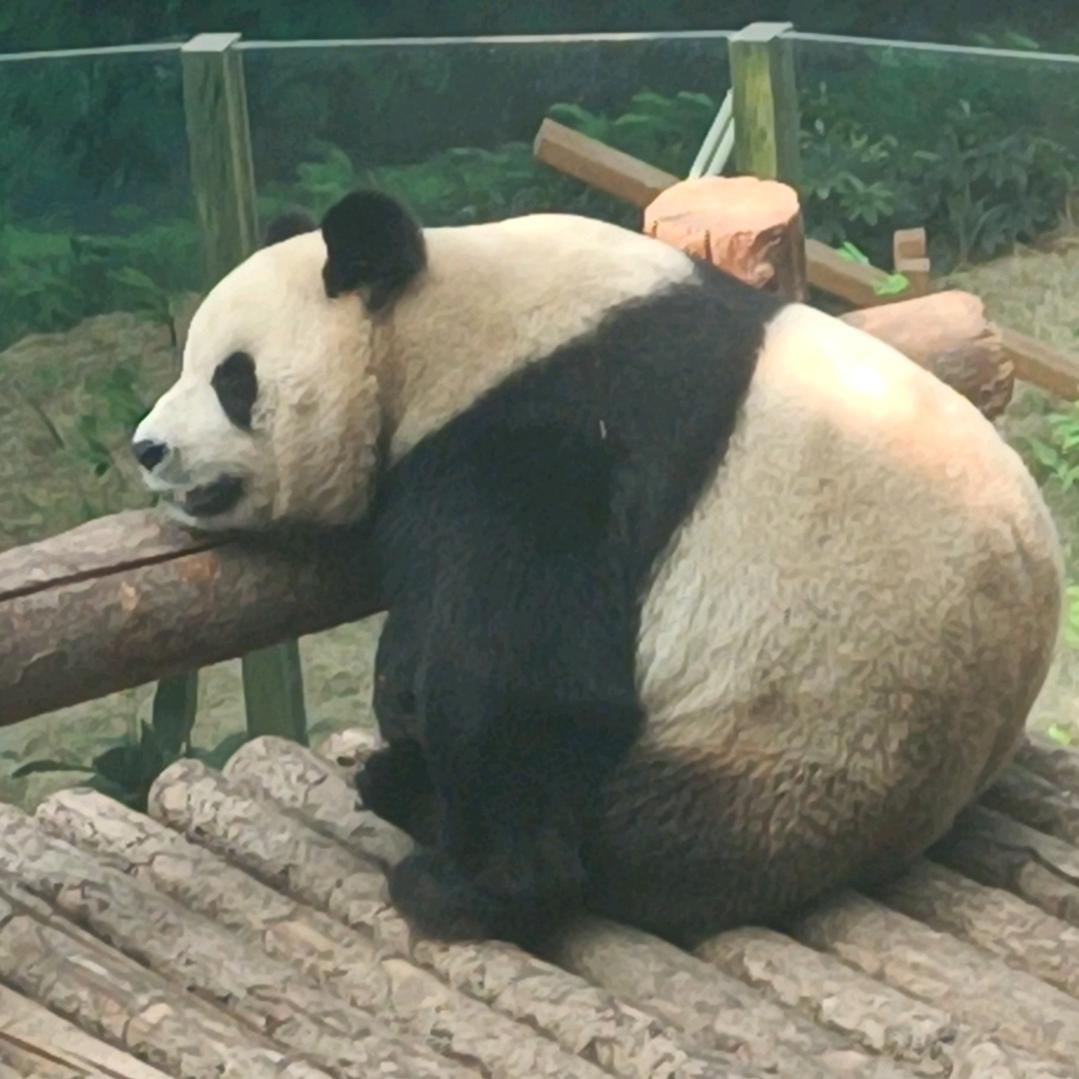 三金水
