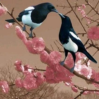 小雨滴