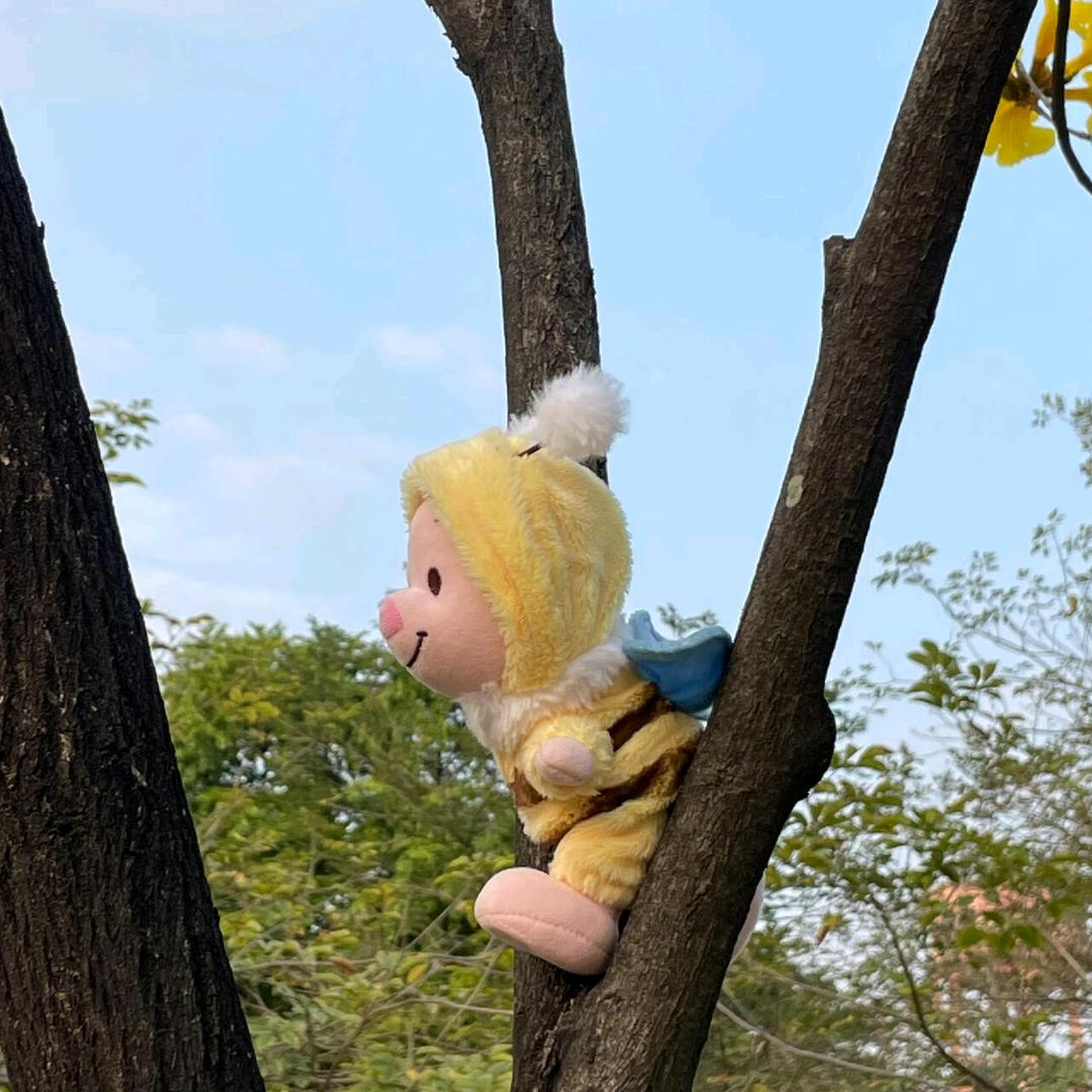乐佩