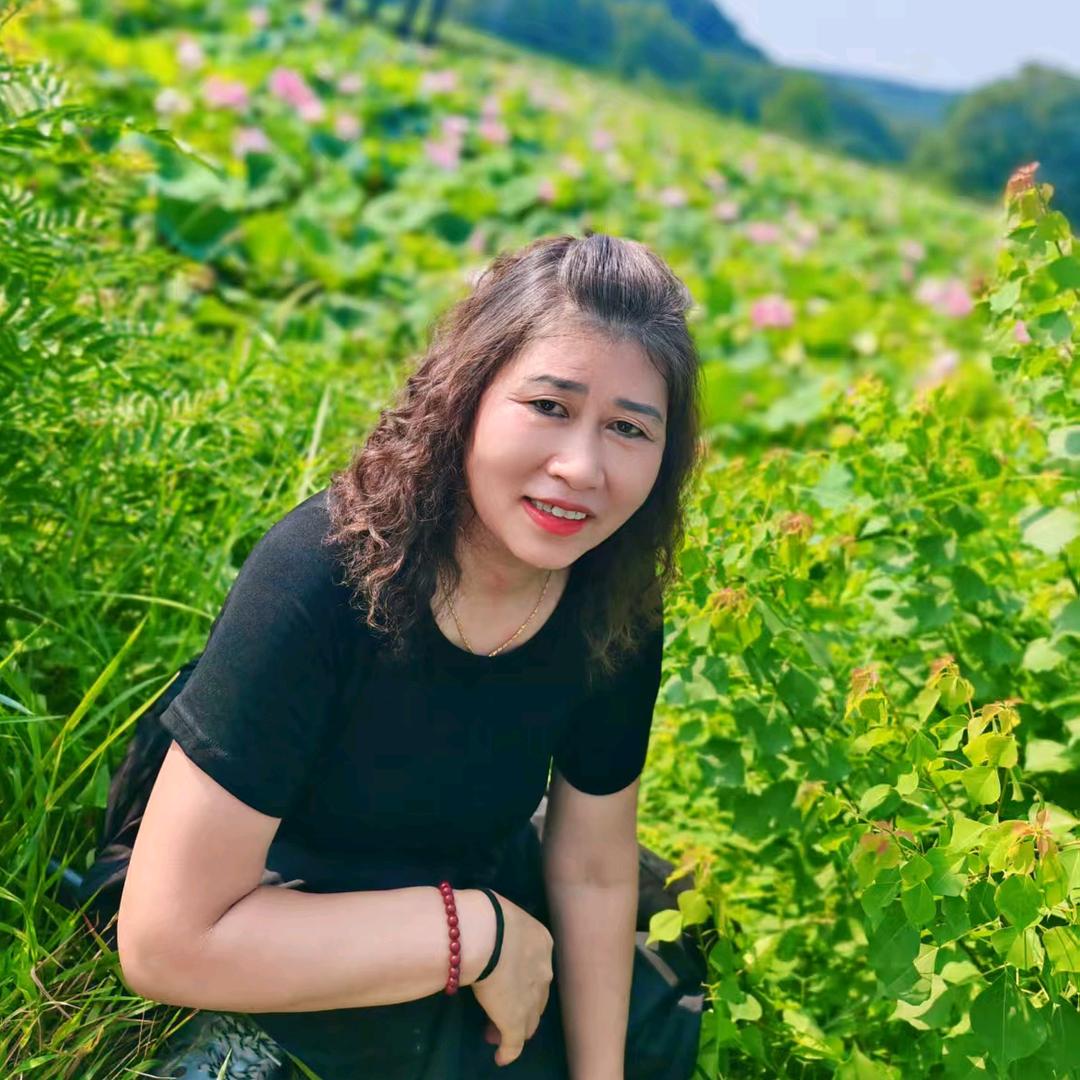 不落的太阳