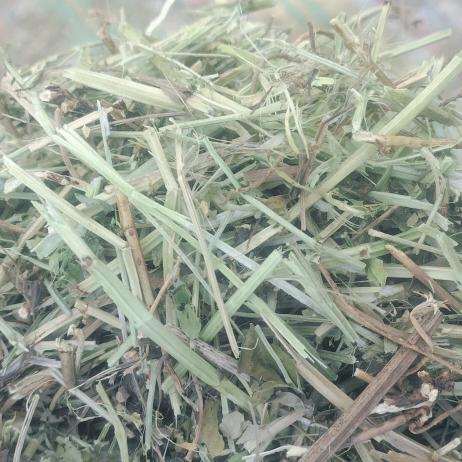 专业收割小麦花生