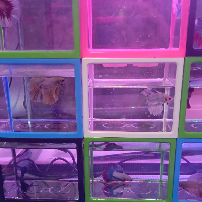 水族馆