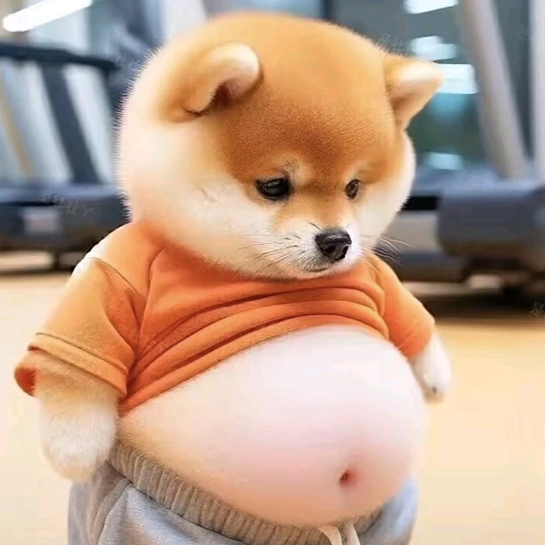 王权富贵