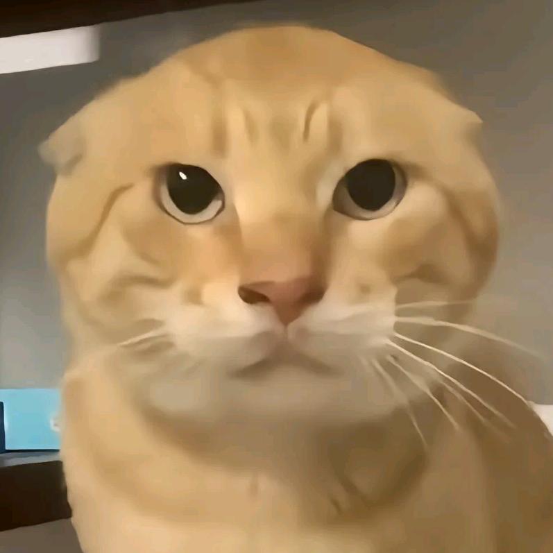米基哈