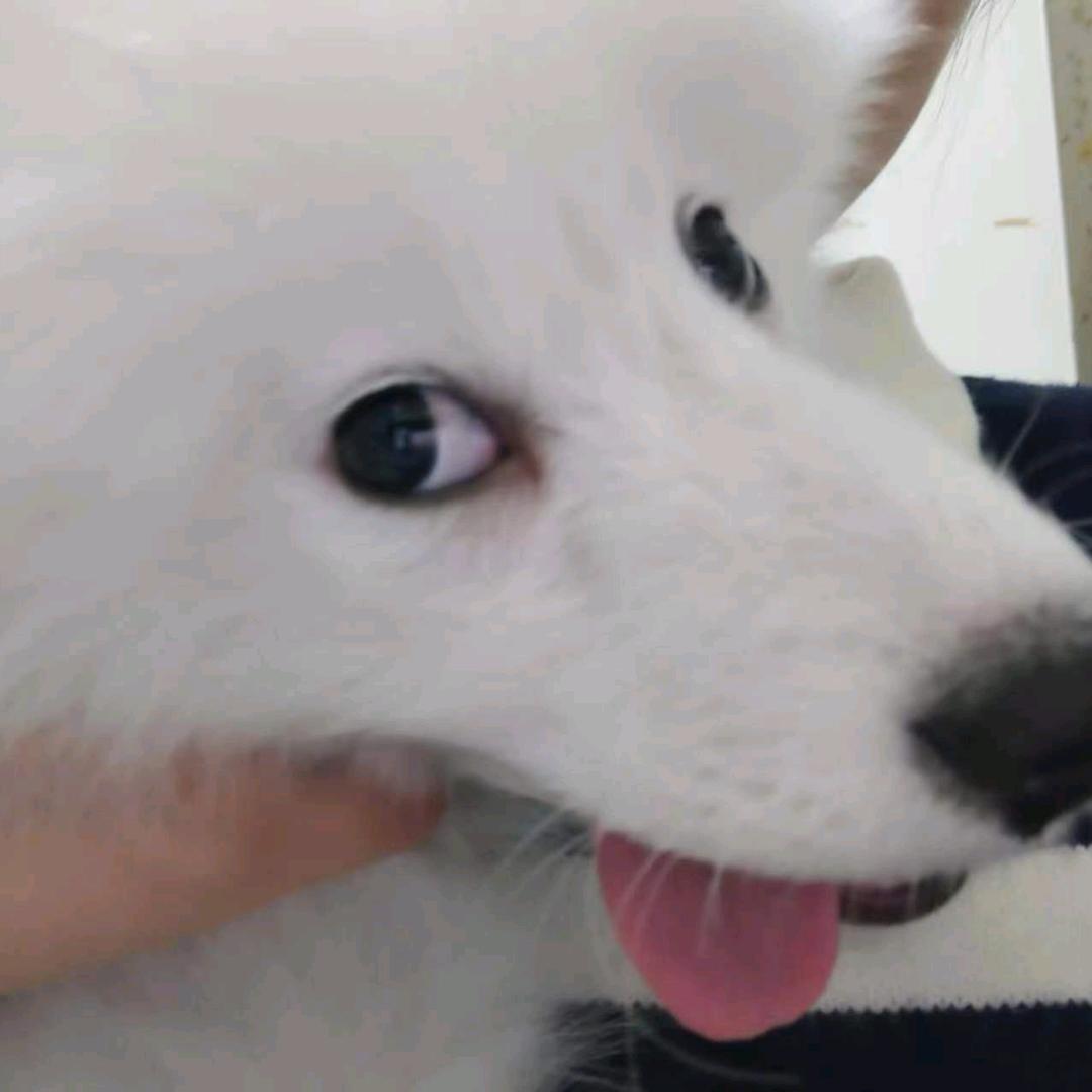 天使👼&五花肉🥩