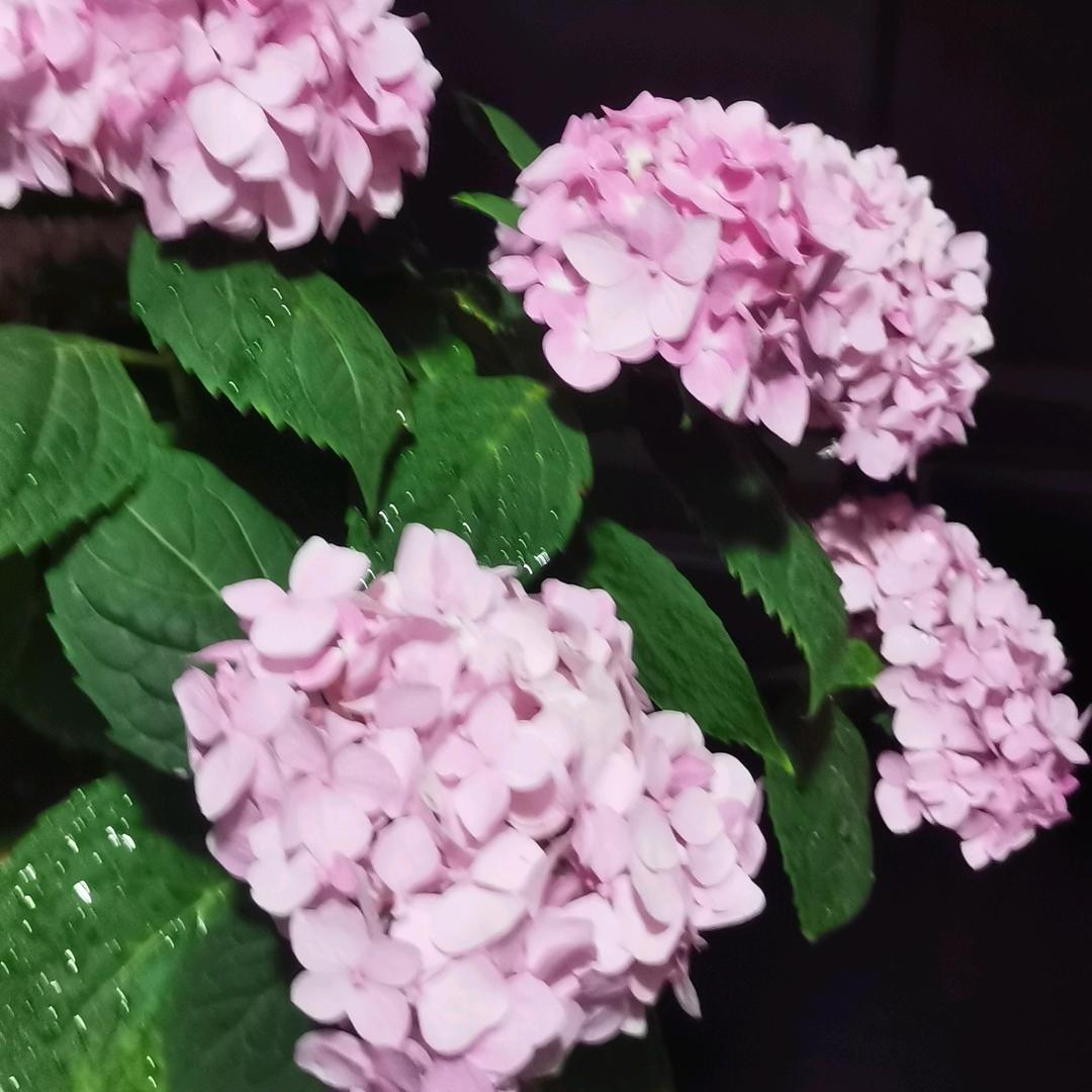 简单点过好每一天❤️❤️