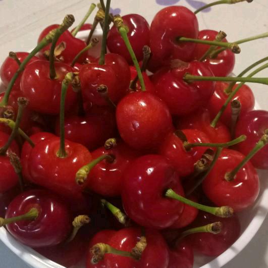 收各种废品，收铜，收铝，收废铁，