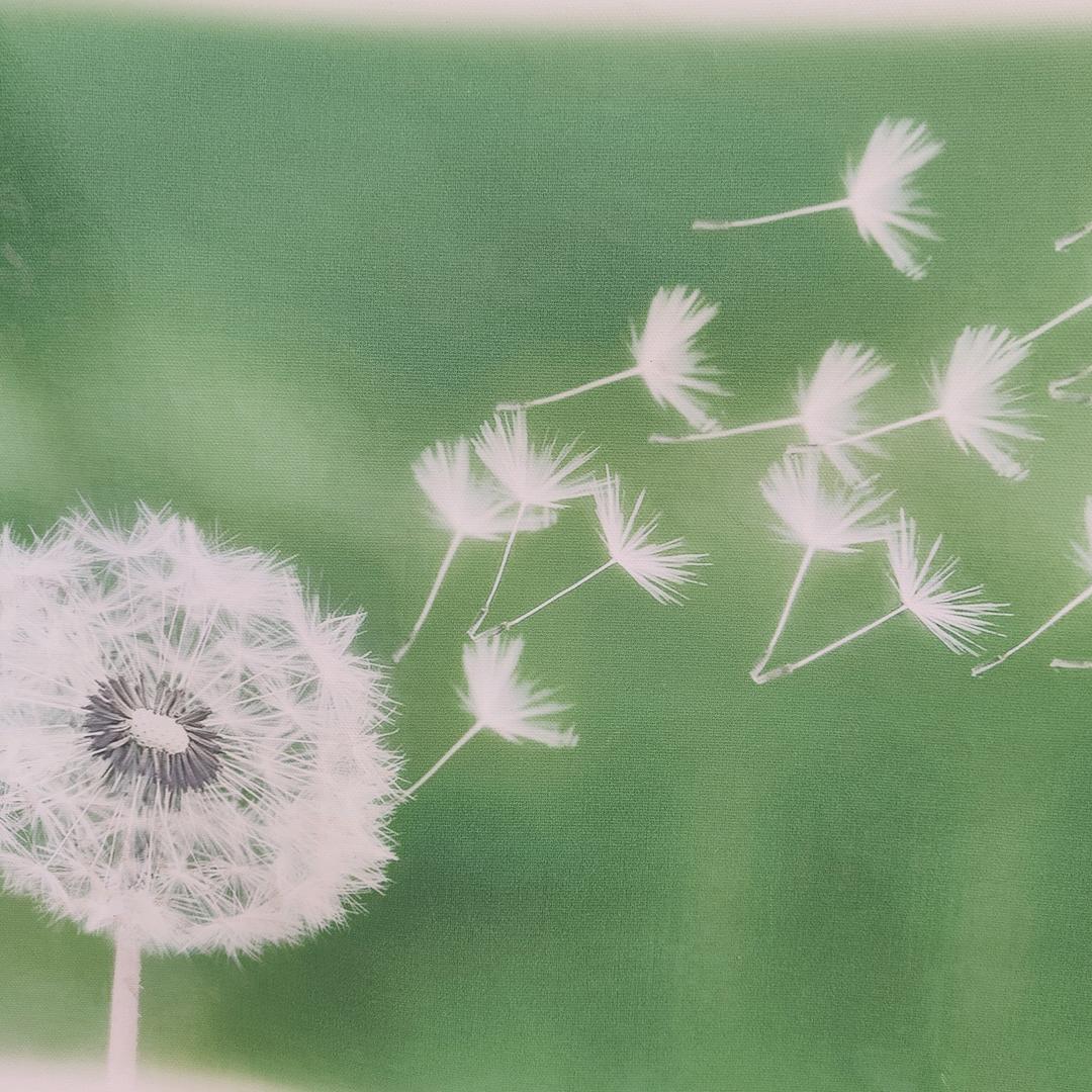 秀忠老师的家庭教育课堂