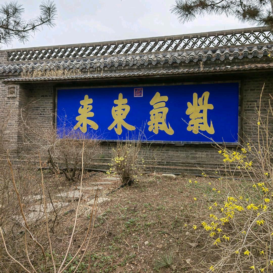 野狼旁的🌙牙泉