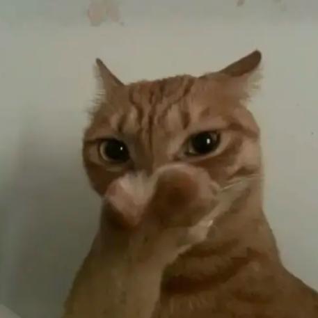 奥奥